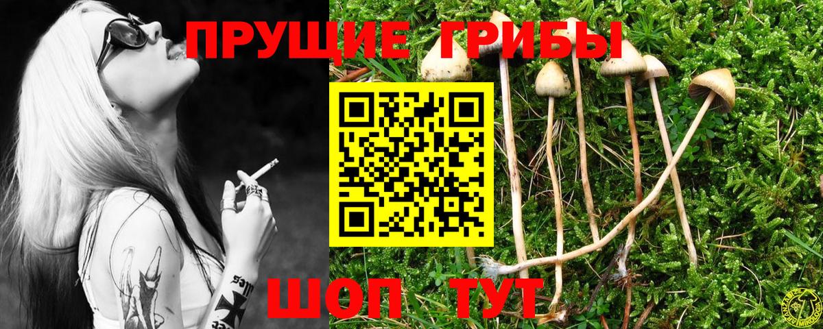Галлюциногенные грибы MAGIC MUSHROOMS Артёмовский