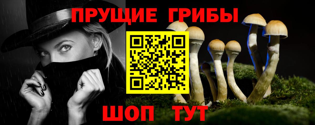 Артёмовский  Псилоцибиновые грибы мухоморы  Вход с VPN  Псилоцибиновые грибы прущие грибы 